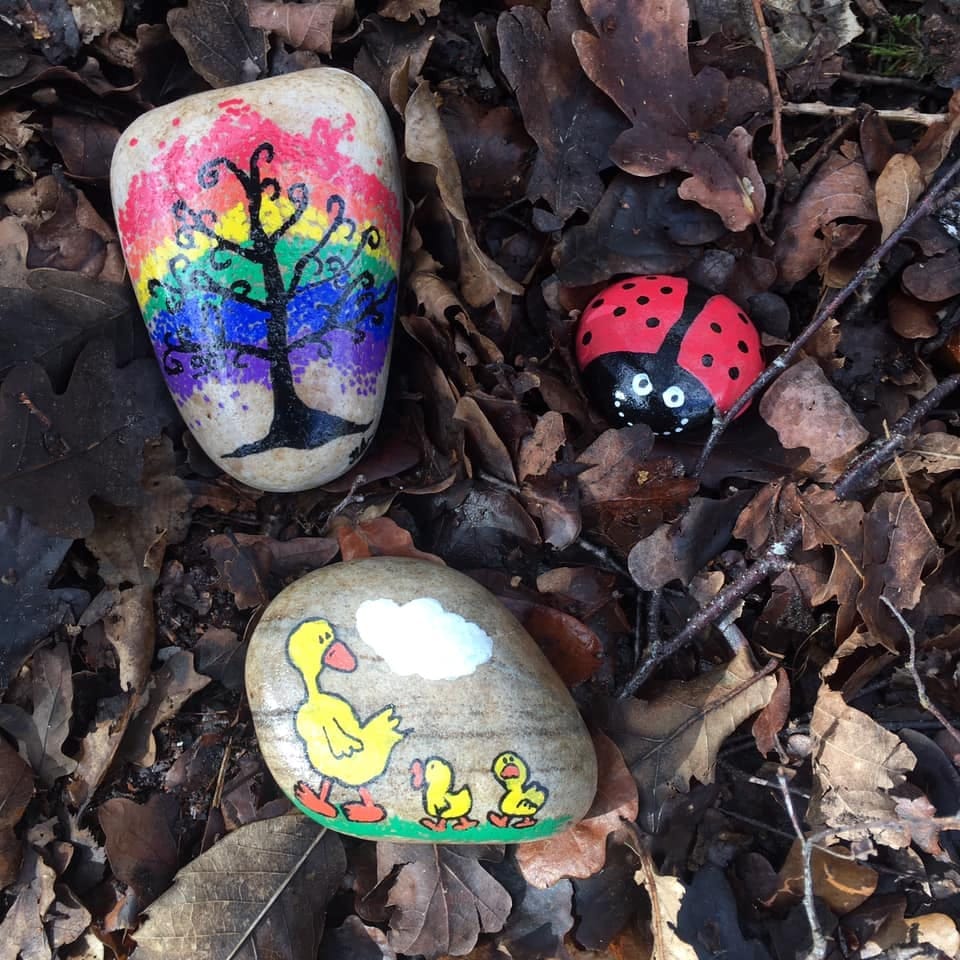 Wokingham Painted Rocks