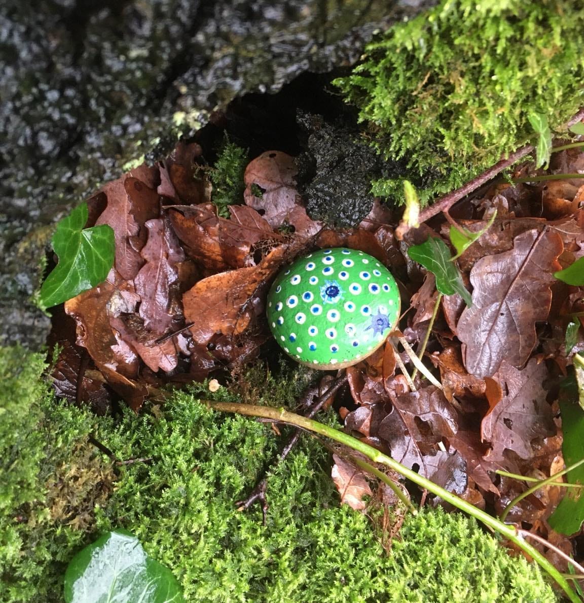 Wokingham Painted Rocks