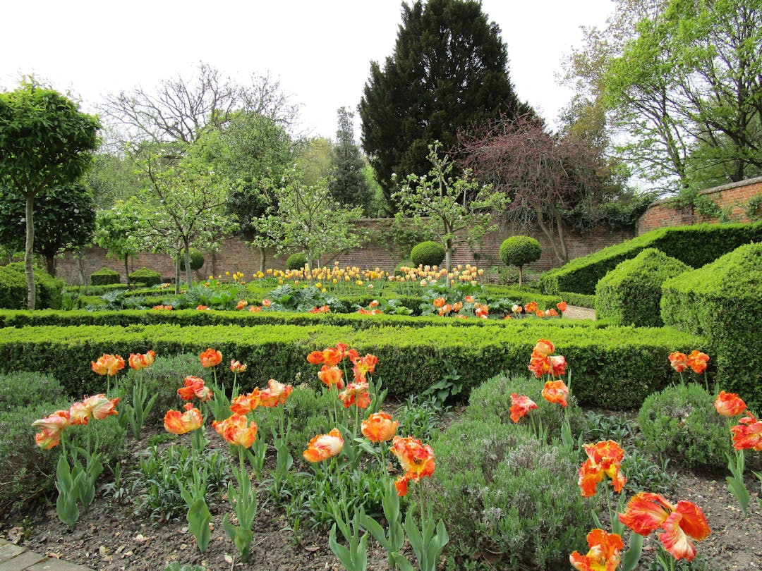 West Green House Gardens  - image 1