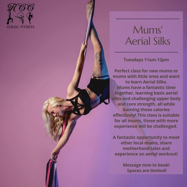 KCC Aerial Fitness  - image 1