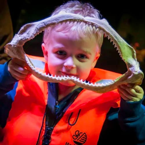 Shark Feeding at LEGOLAND Windsor