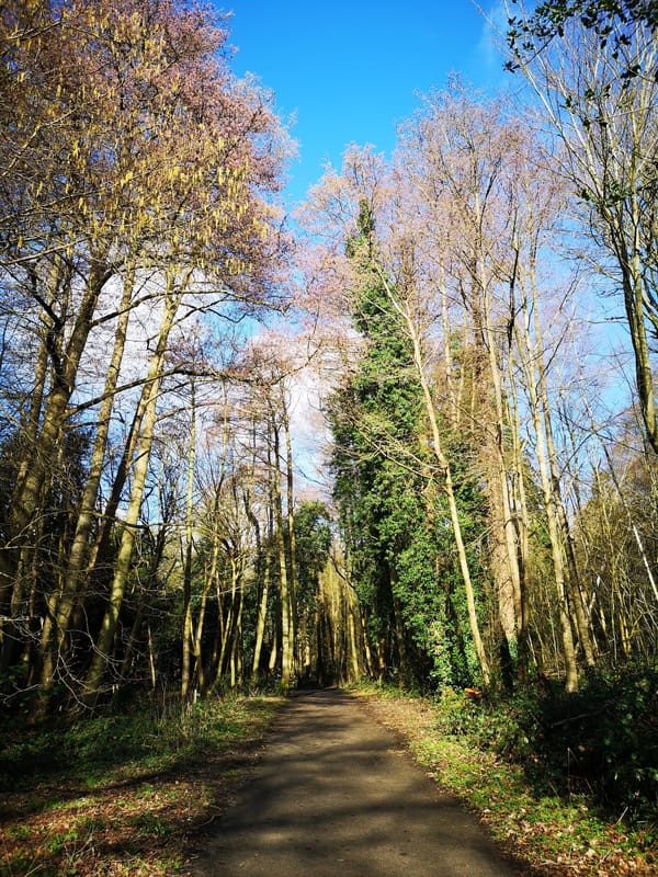 Ambarrow Court