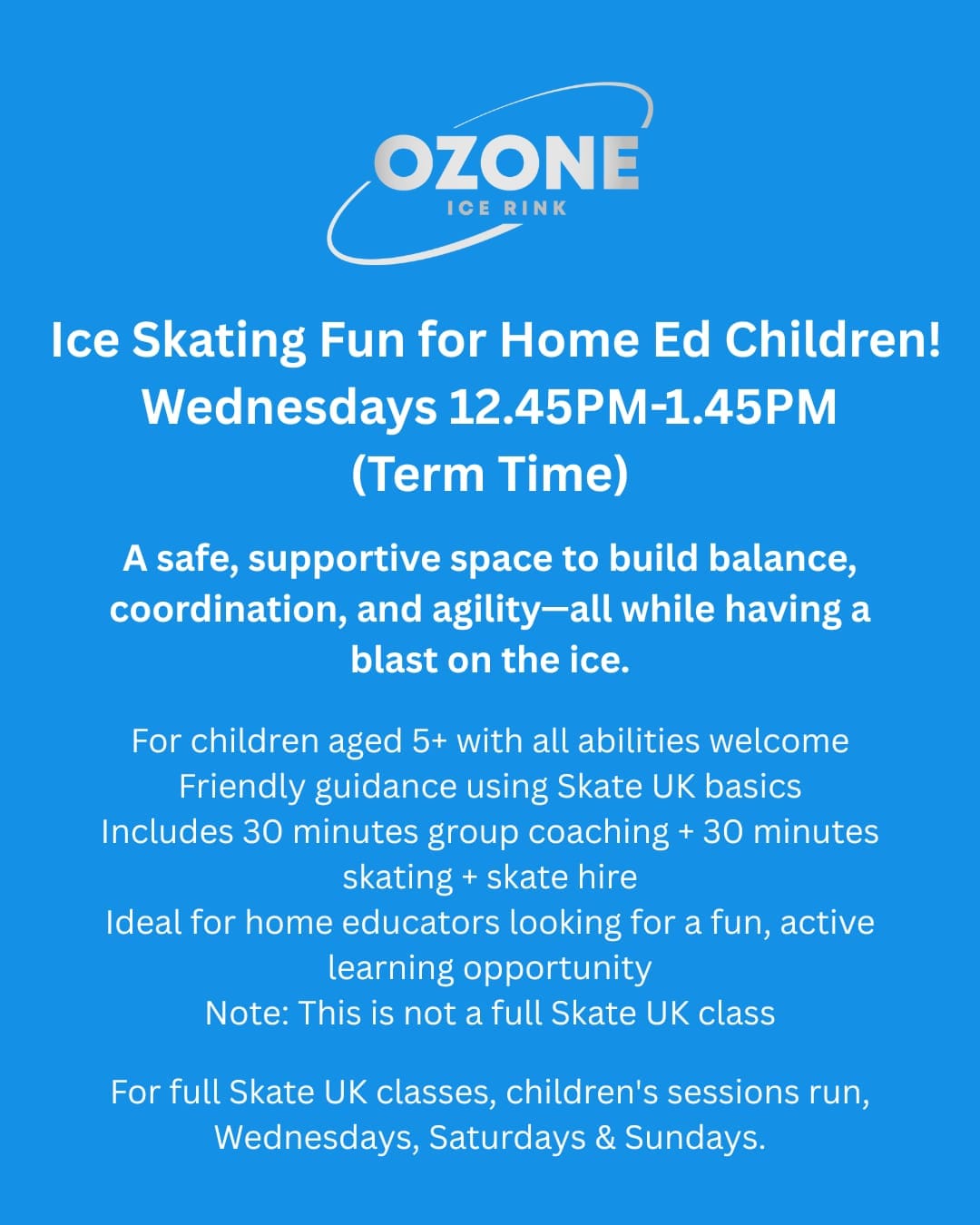 Ozone Ice Rink - image 4