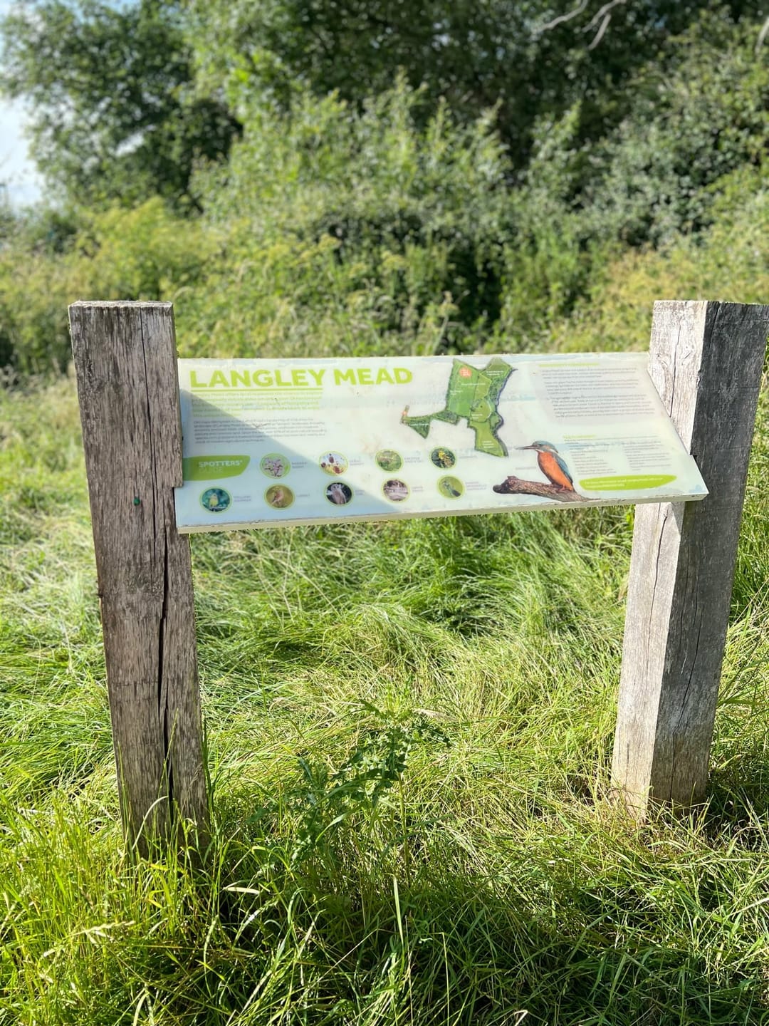 Langley Mead Nature Reserve - image 1