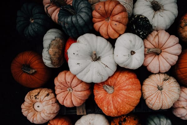 Pumpkins & Phantoms Halloween Trail