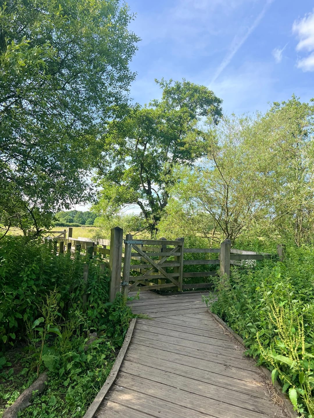 Langley Mead Nature Reserve - image 1