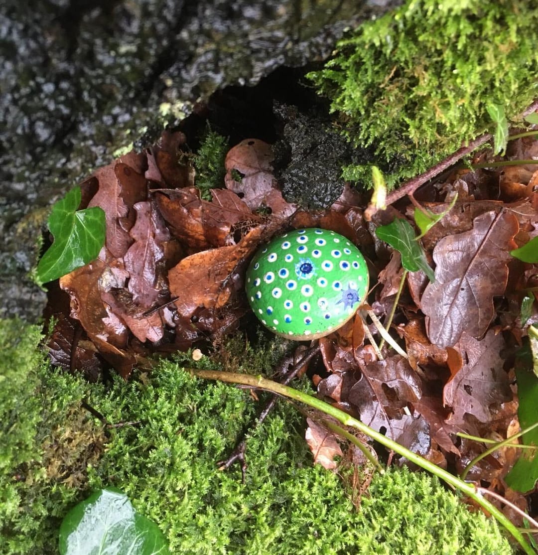 Wokingham Painted Rocks - image 1