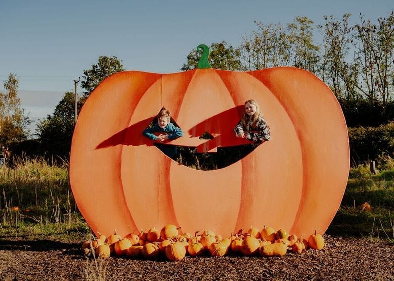Wasing Pick Your Own Pumpkins & Woodland Trail - image 1