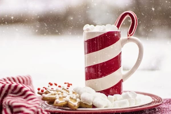 Moss End Garden Village - Christmas Fair