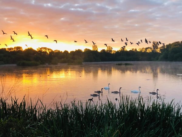 Dinton Pastures