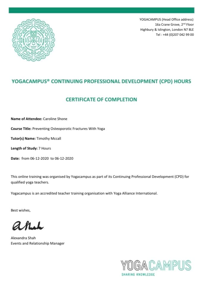 Uyogastudio - image 6
