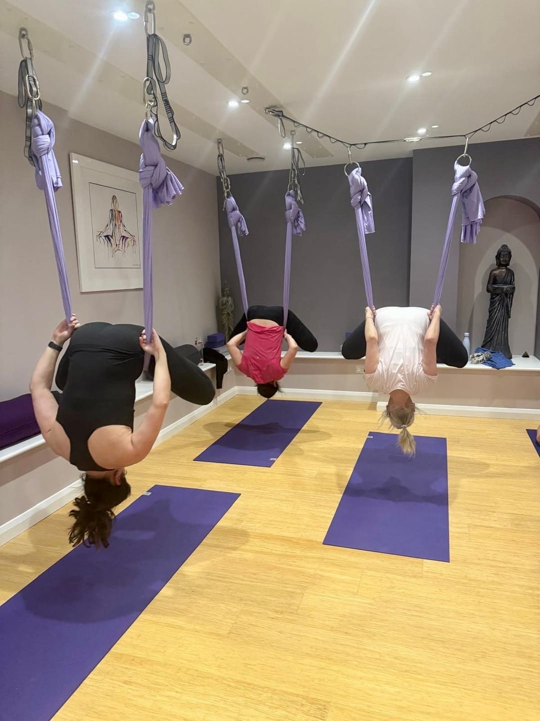 Uyogastudio - image 1