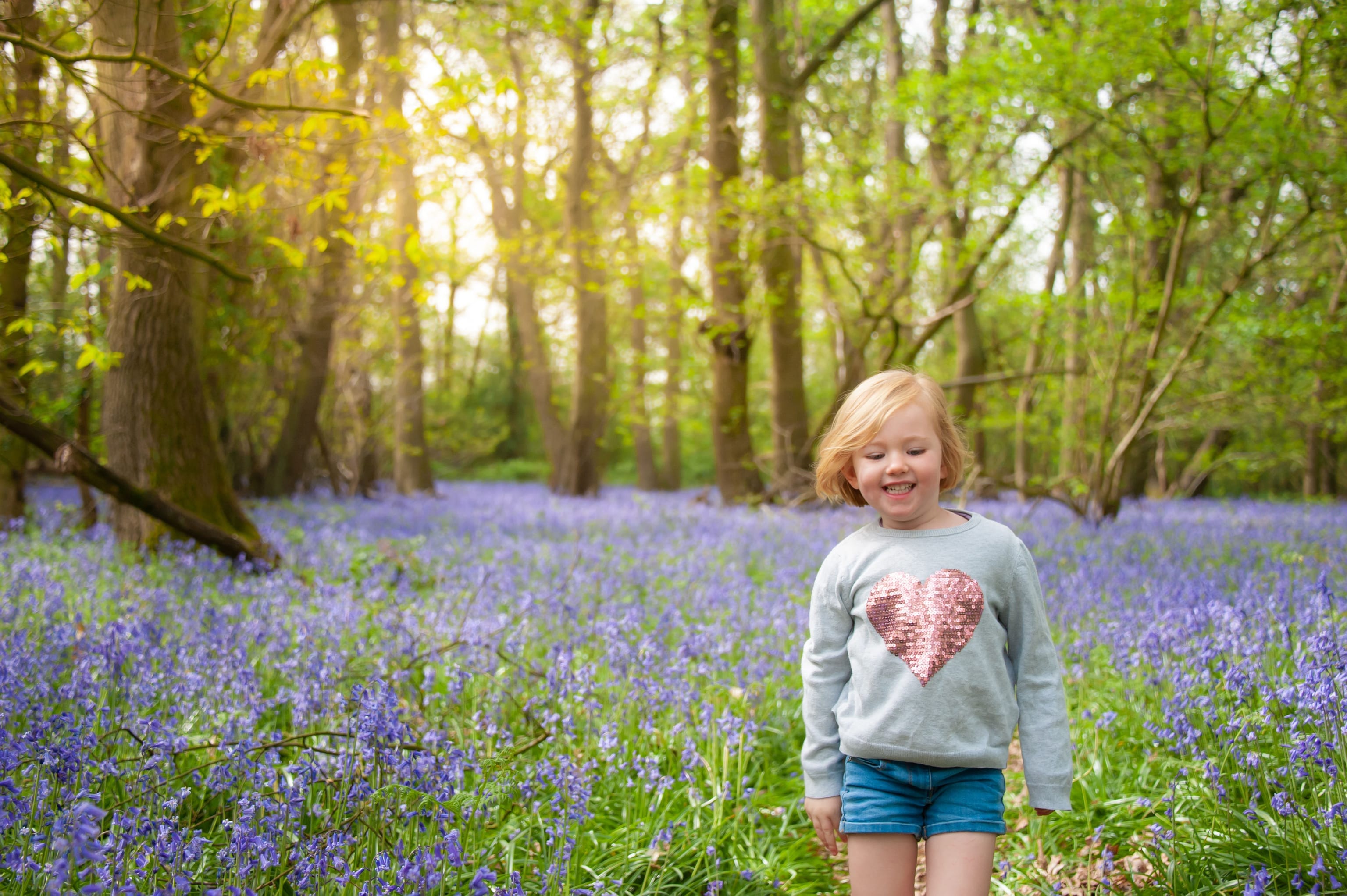Bluebell Walks in Wokingham