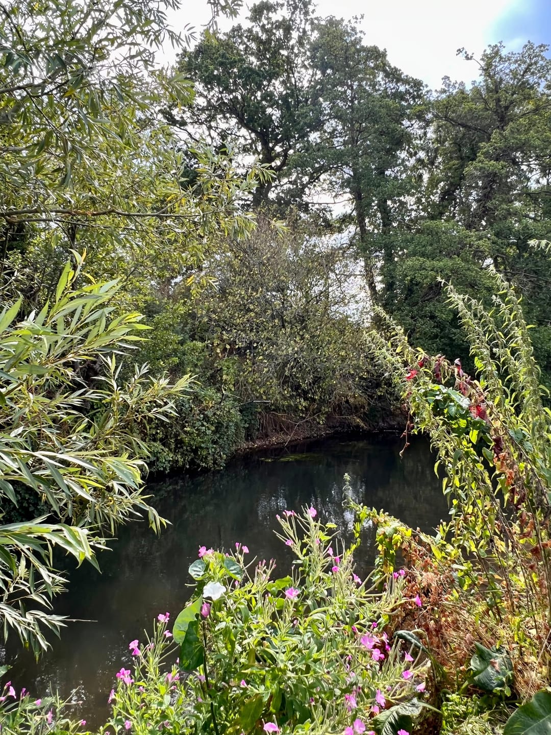 Wellesley Water Meadow - image 2