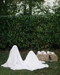 Trick or Treat Sessions