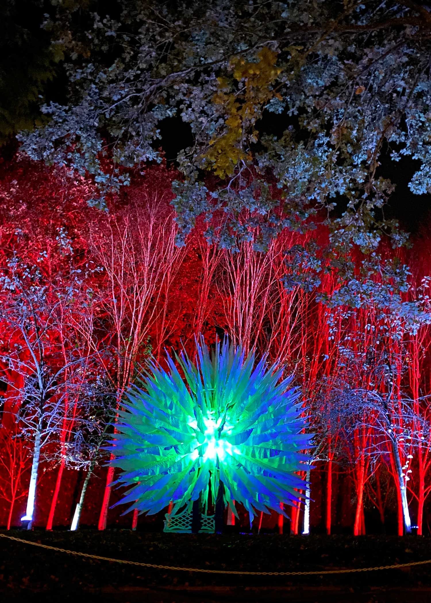 Christmas Events in Berkshire