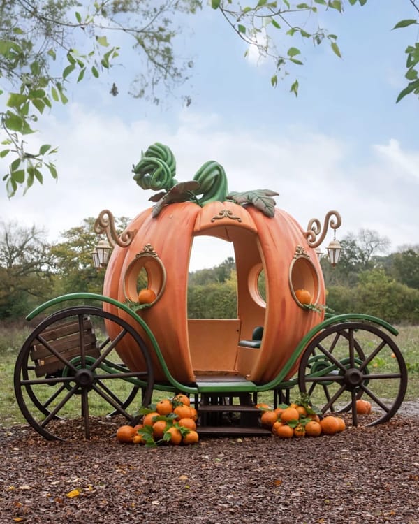Wasing Pick Your Own Pumpkins