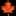 Pumpkin Fest - image 1