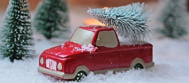 Where to buy your Christmas Tree in Wokingham and beyond
