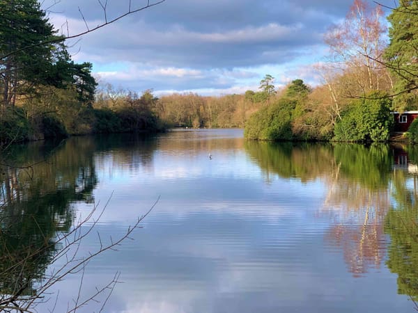 California Country Park