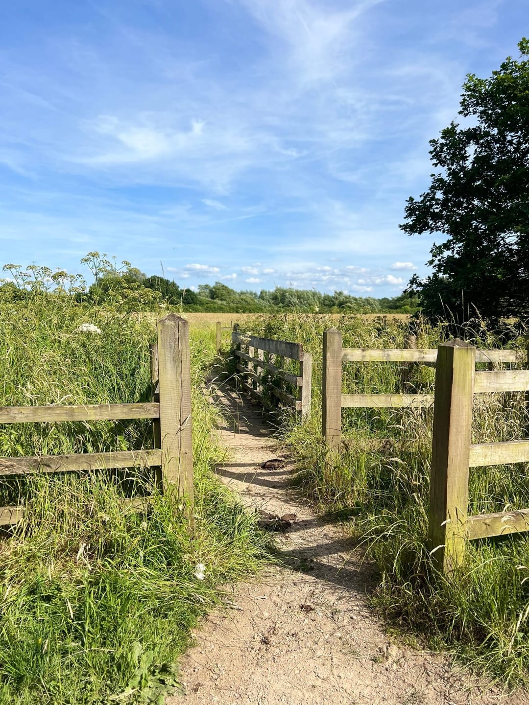 Langley Mead Nature Reserve - image 2