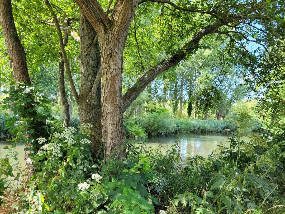 Aldermaston Wharf - image 1