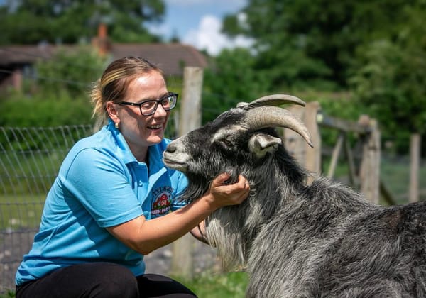 Tyler's Farm Parties Charity Day