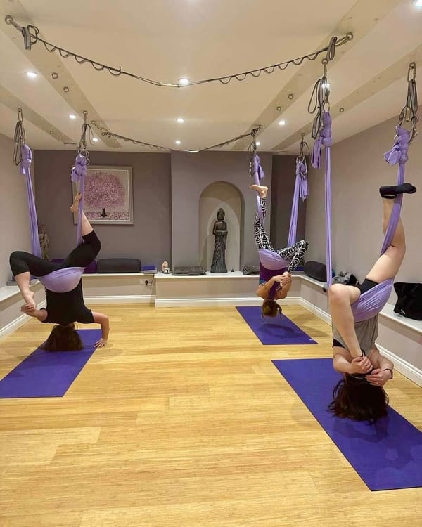 Uyogastudio