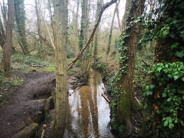 Aldermoors Nature Reserve