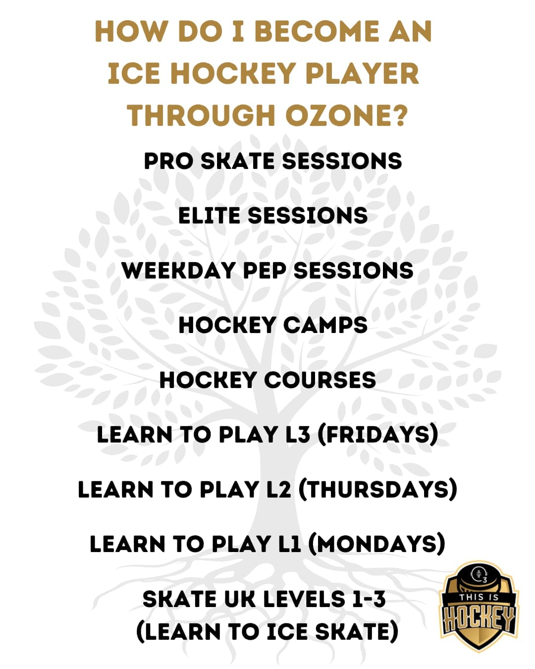 Ozone Ice Rink - image 2