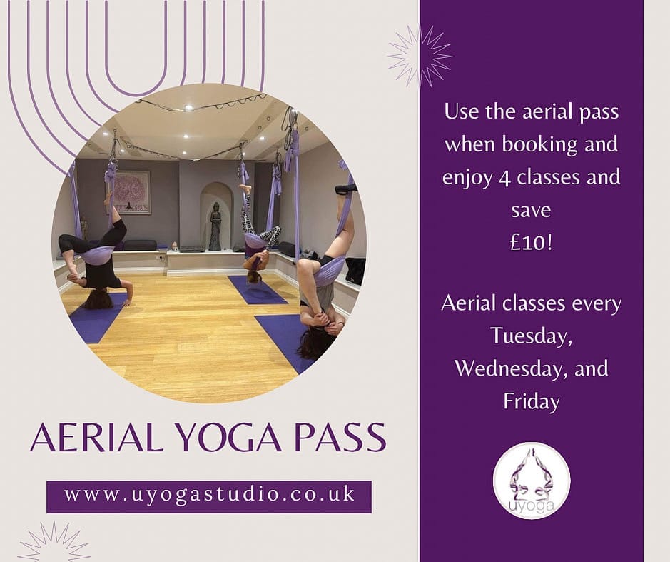 Uyogastudio - image 8