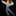 Day Disco - image 6