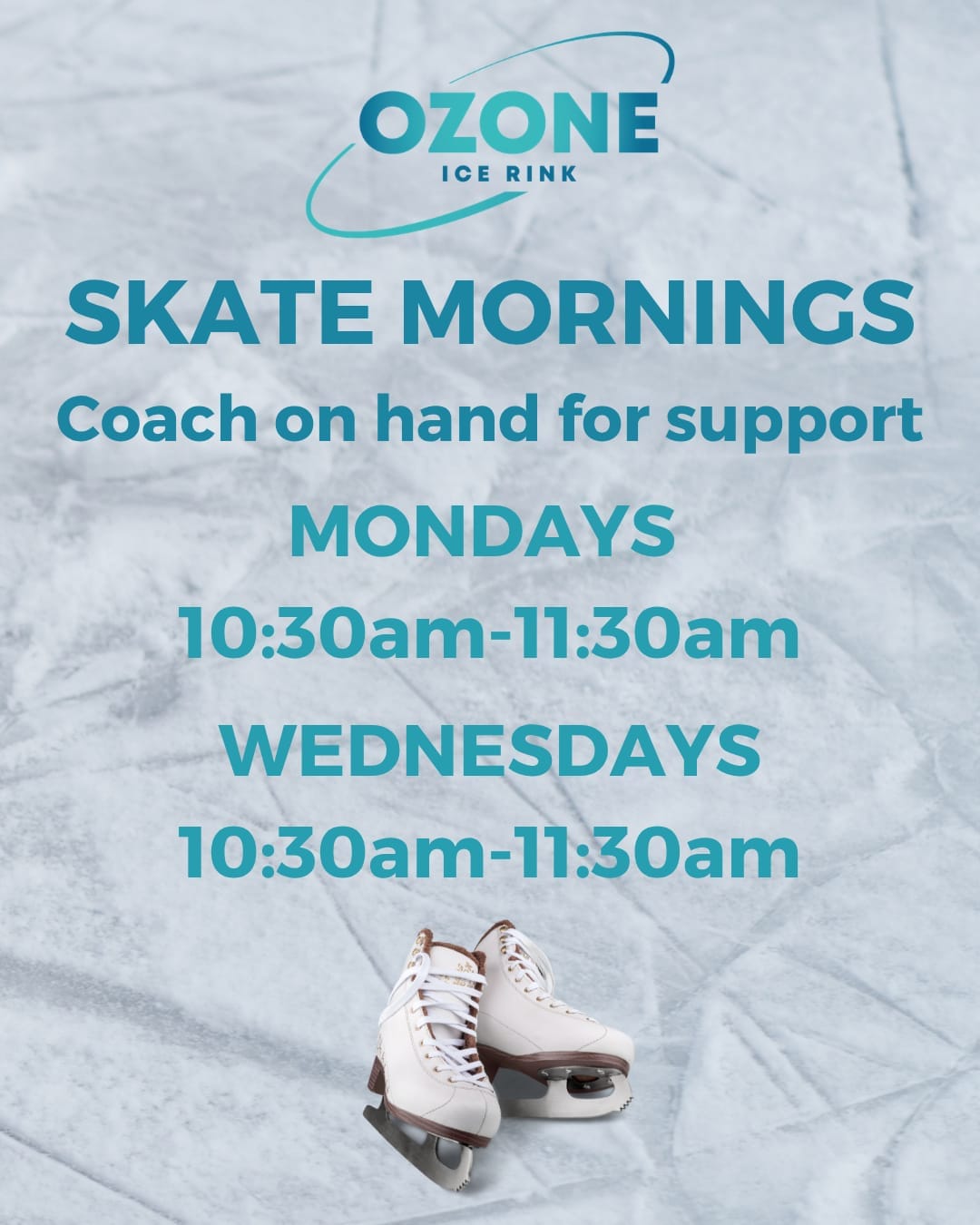 Ozone Ice Rink - image 6
