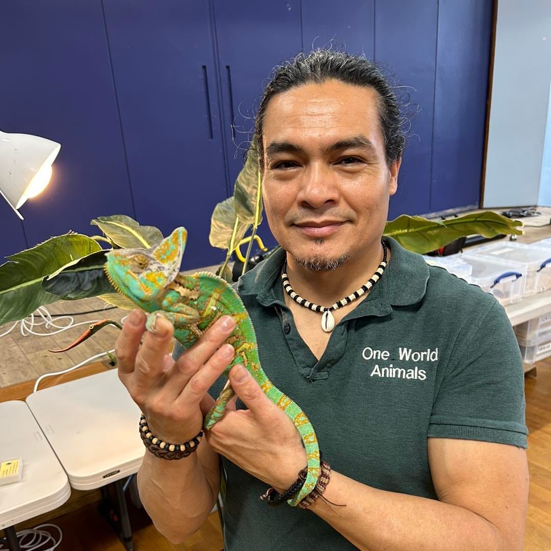 One World Animals - image 1