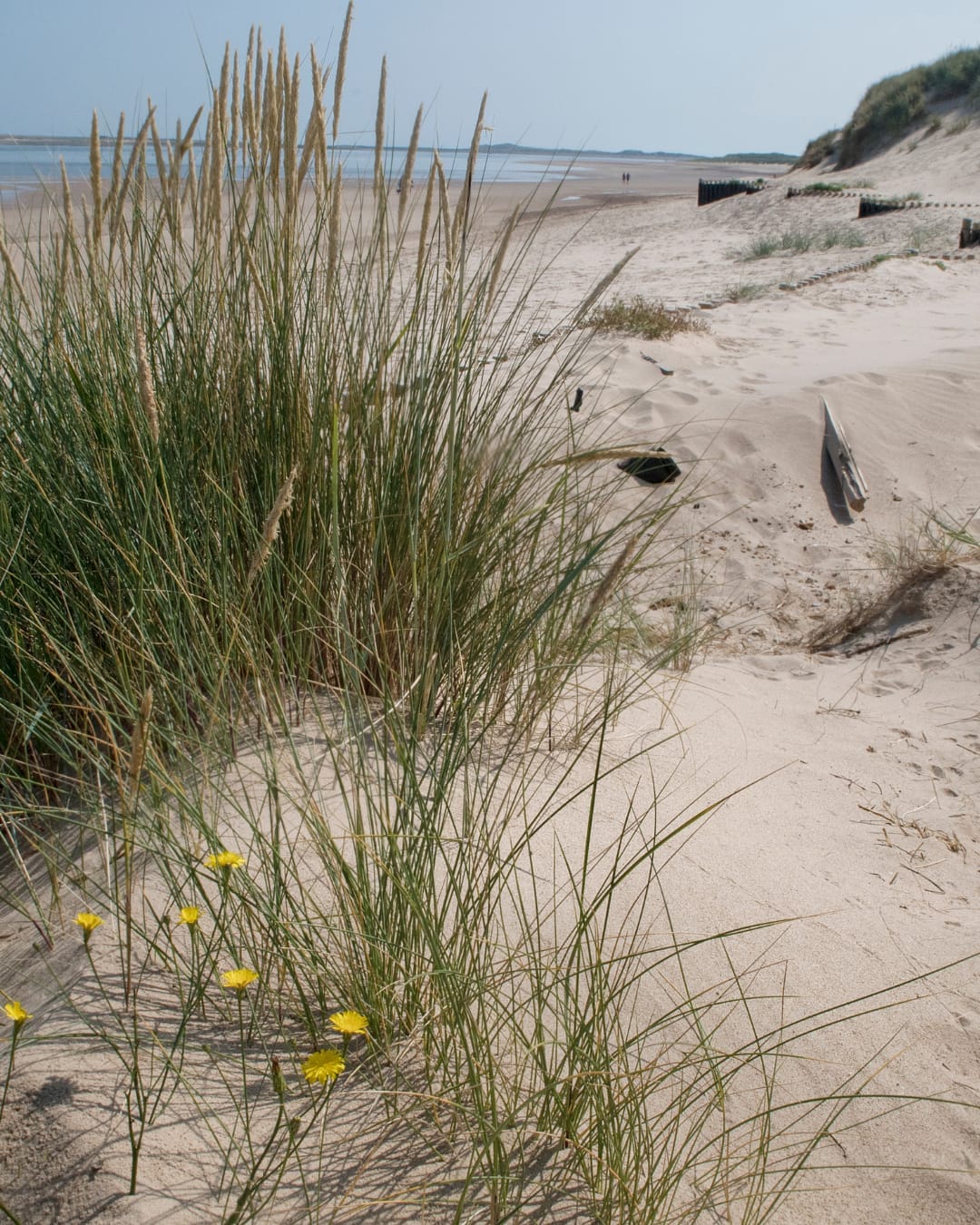 Best Beaches Near Wokingham