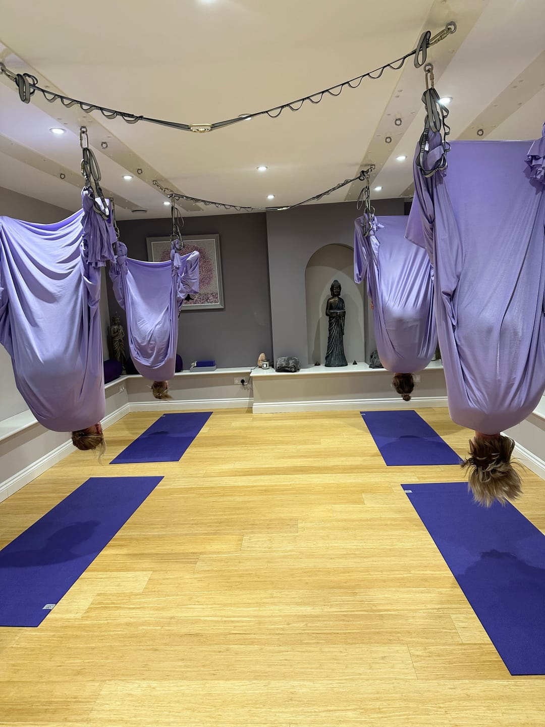 Uyogastudio - image 5