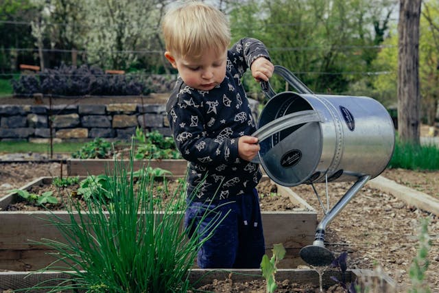 6 kid friendly ideas to encourage gardening