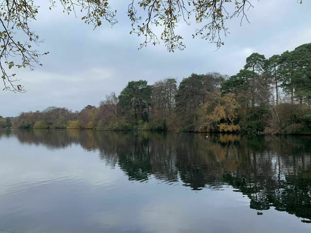 Highwood Nature Reserve