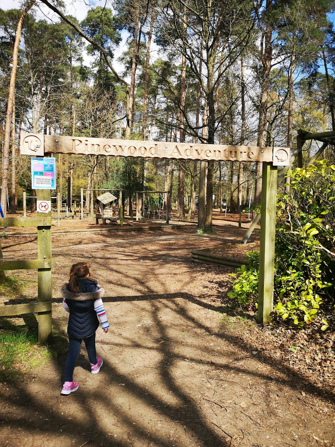Pinewood Adventure Playground  - image 1