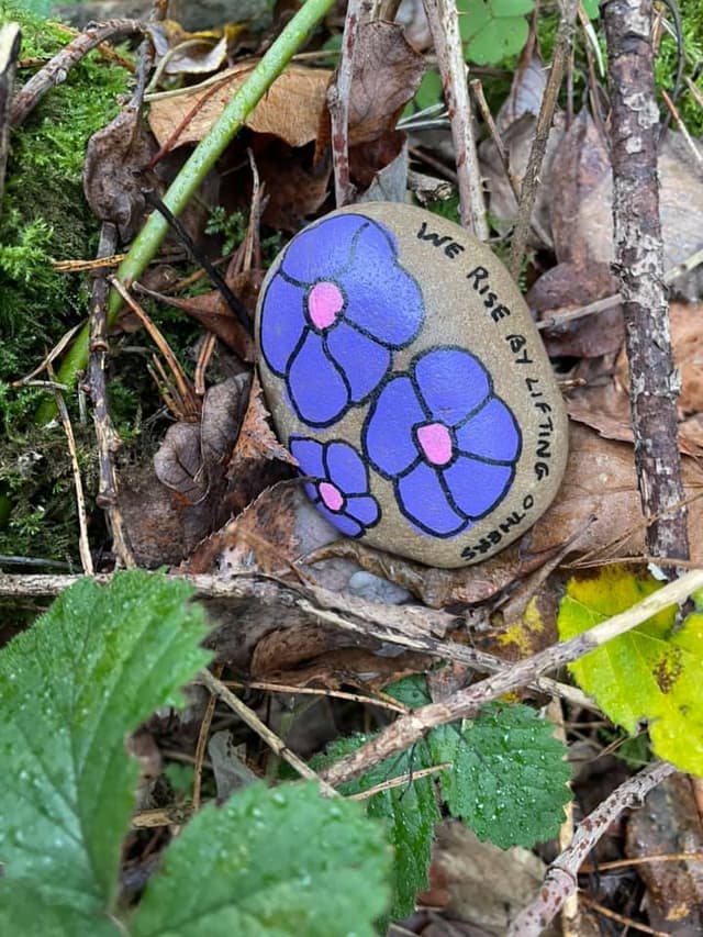 Wokingham Painted Rocks