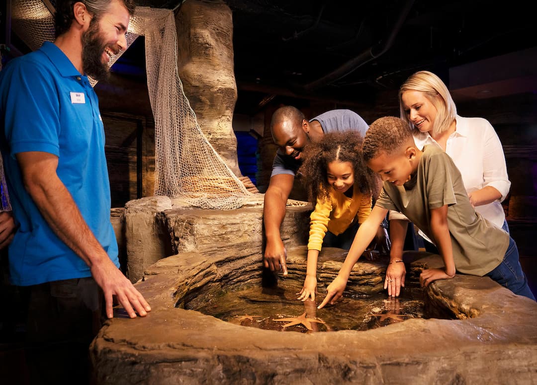 SPECIAL OFFER - London Attraction Pass - image 2