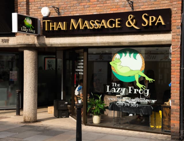 The Lazy Frog
